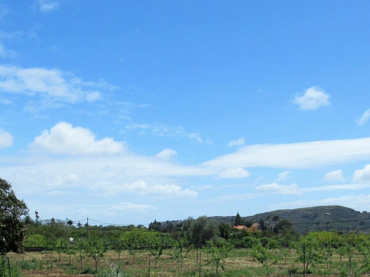 Casa Rural El Alpendre Vega de San Mateo Exteriör bild