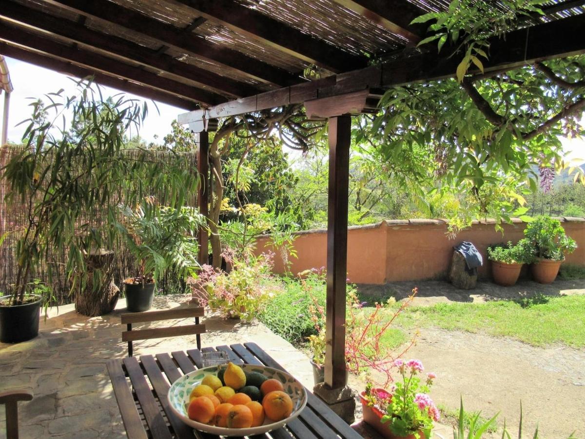 Casa Rural El Alpendre Vega de San Mateo Exteriör bild
