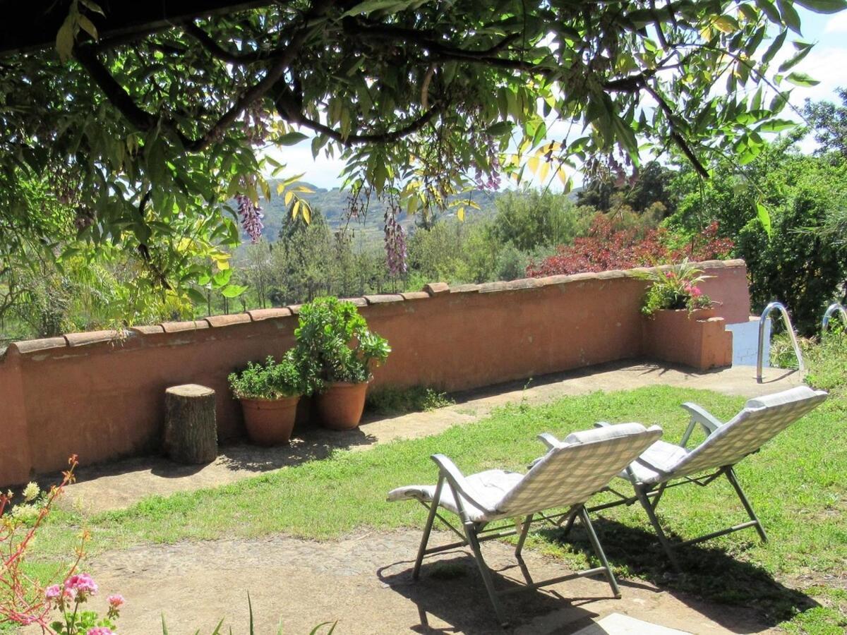 Casa Rural El Alpendre Vega de San Mateo Exteriör bild